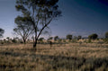 outback twilight mountains 1980s 1990s A4 Photo Print