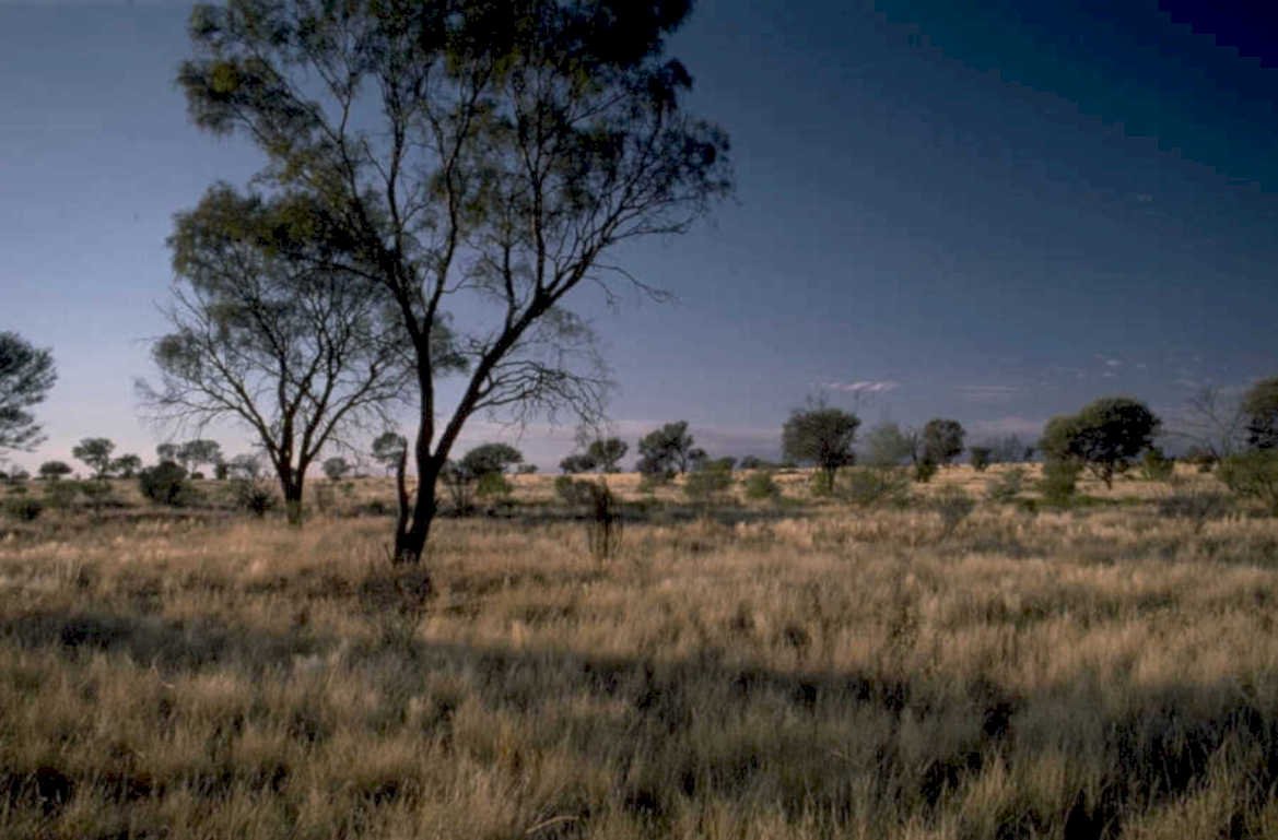 outback twilight mountains 1980s 1990s A4 Photo Print