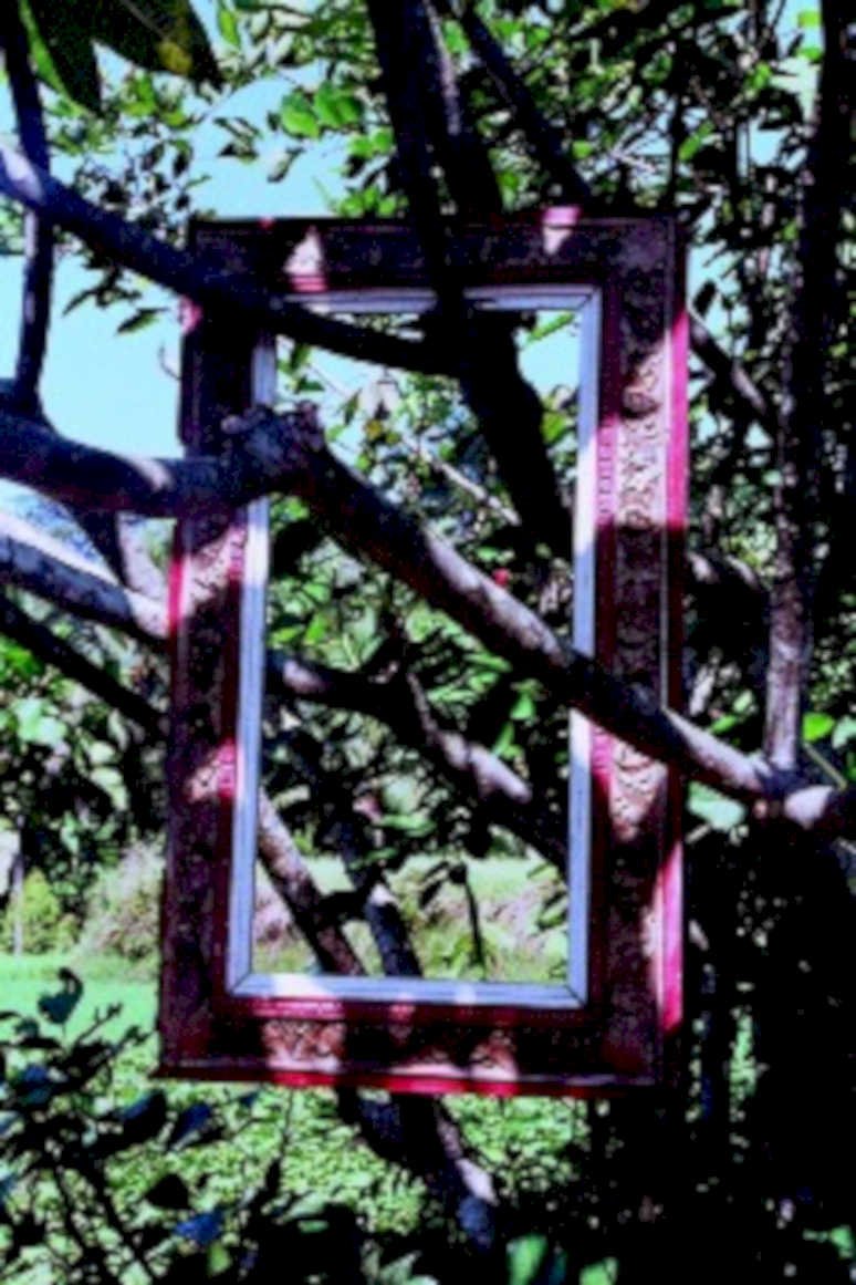 outdoor frame tree1980s 1990s A4 Photo Print