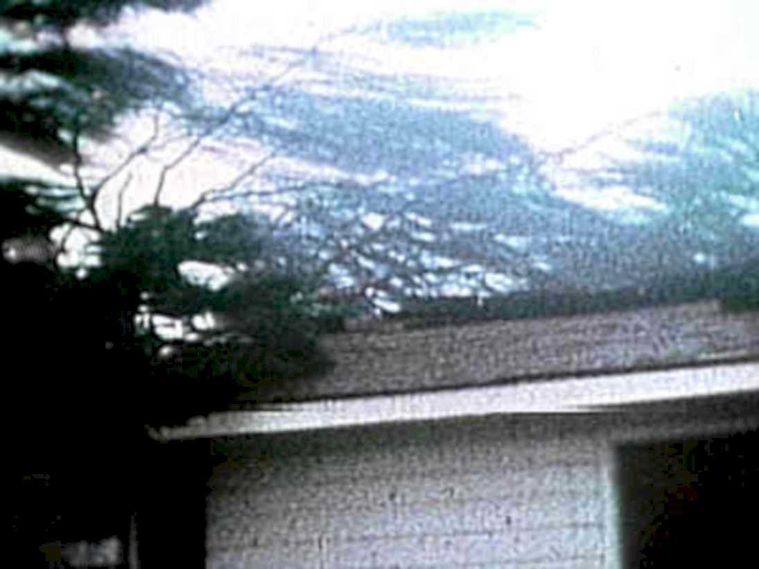outdoor window scene1980s 1990s A4 Photo Print
