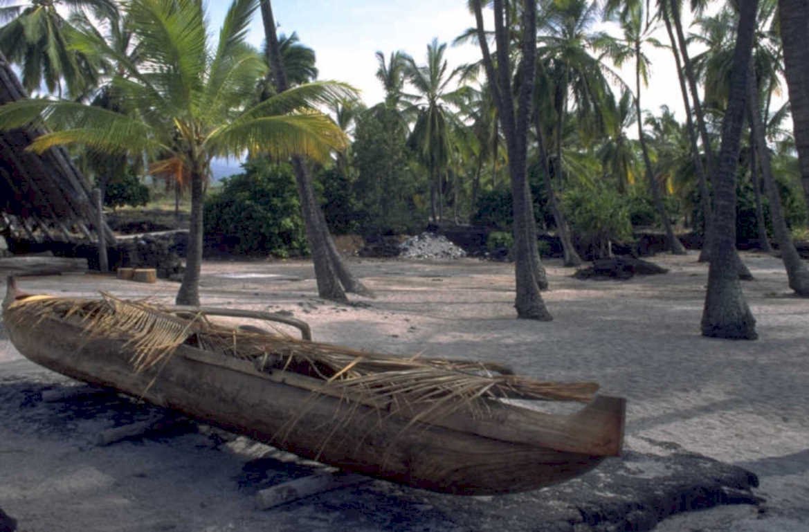 outrigger canoe pacific 1980s 1990s A4 Photo Print