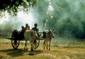 ox cart southeast1980s 1990s A4 Photo Print