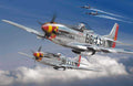 p 51 mustang 16 Vintage world war A4 Photo Print