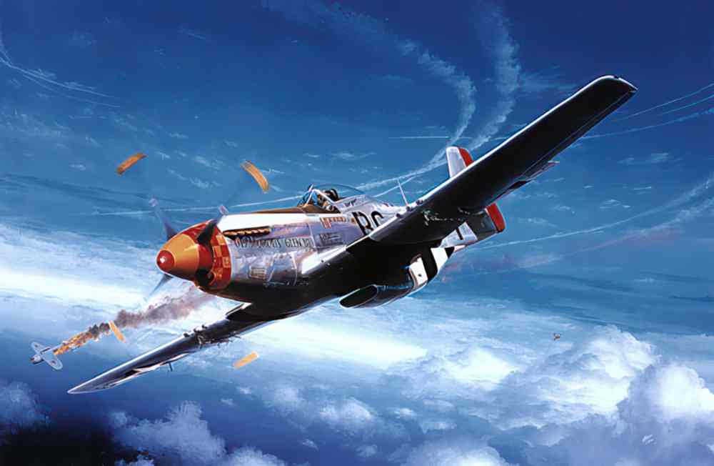 p 51 mustang 20 Vintage world war A4 Photo Print