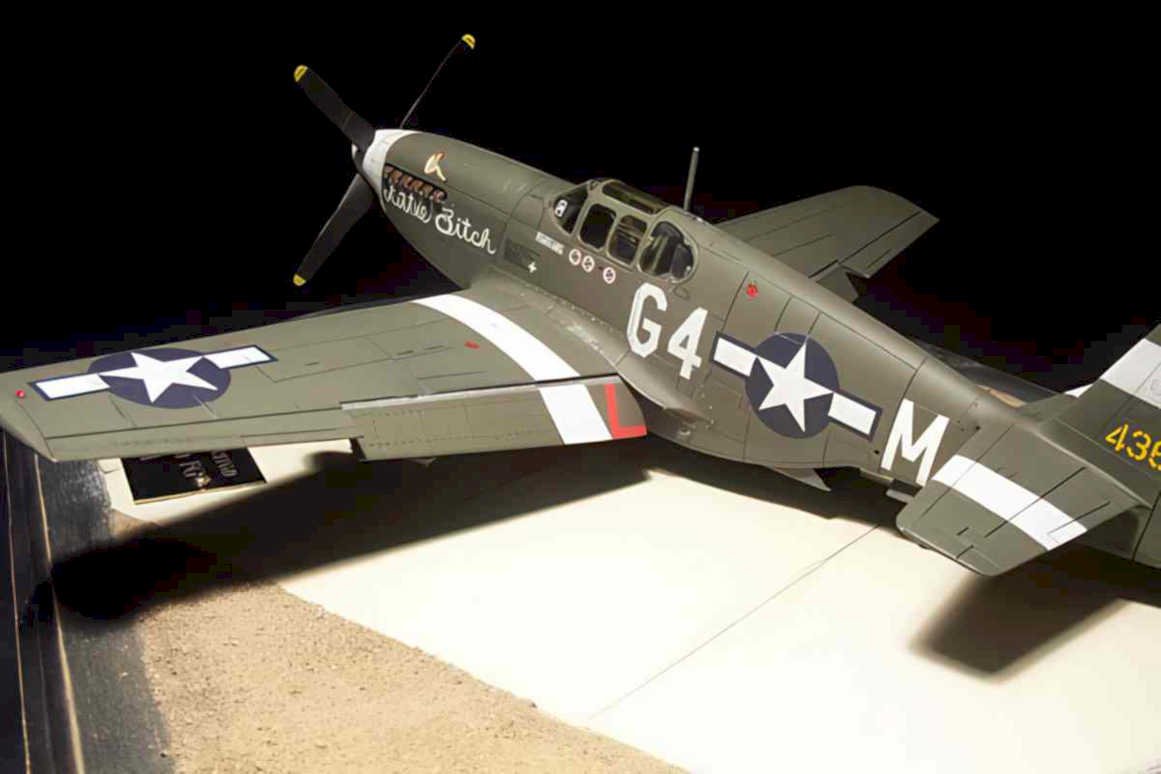 p51d mustang dale Vintage world war A4 Photo Print