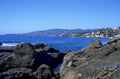 pacific coast rocks 1 1980s 1990s A4 Photo Print