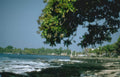 pacific island beach Vintage A4 Photo Print