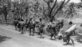 pacific island labor Vintage world war A4 Photo Print