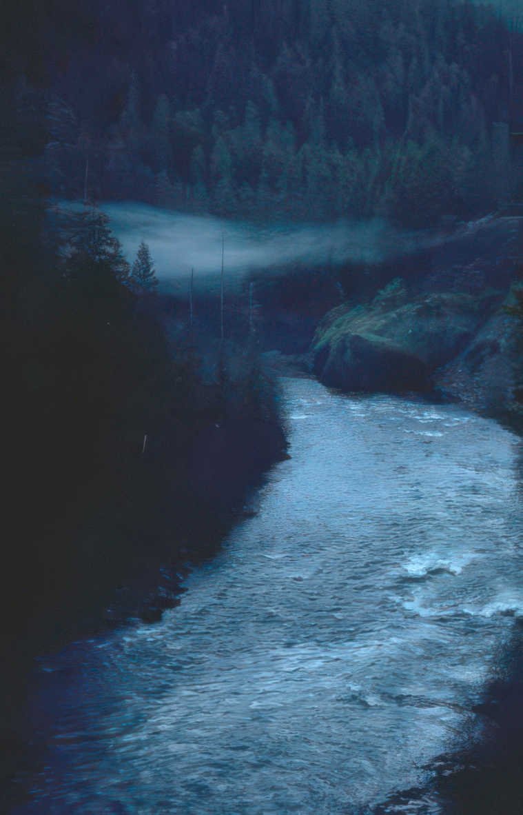pacificriver fogforest bluewater GIGA 2