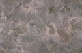 paleolithic petroglyph sandstone Vintage A4 Photo Print