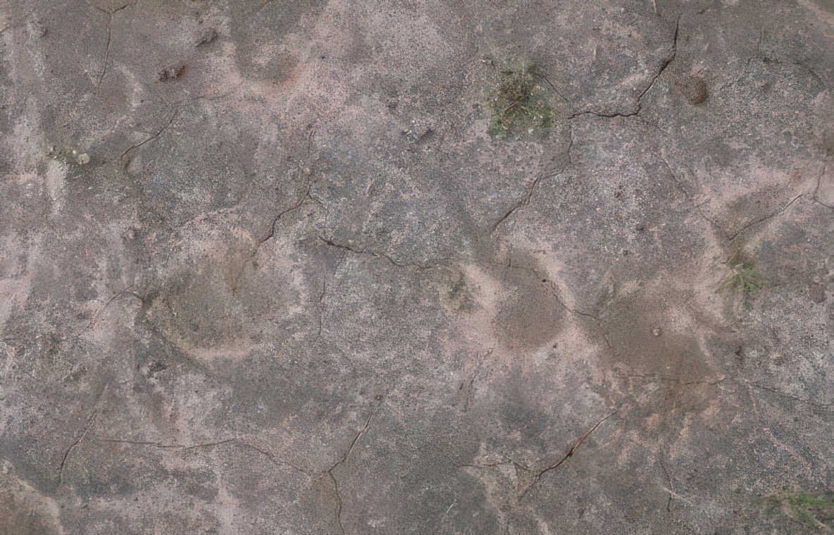 paleolithic petroglyph sandstone Vintage A4 Photo Print