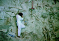 paleontologist bone fragment1980s 1990s A4 Photo Print