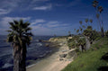 palm beach coast 1980s 1990s A4 Photo Print