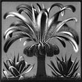 palm mc escher 1933 A4 Photo Print