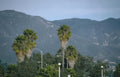 palm mountains road Vintage A4 Photo Print