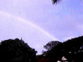 palm rainbow sky1980s 1990s A4 Photo Print