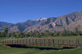 palm springs golf 1980s 1990s A4 Photo Print