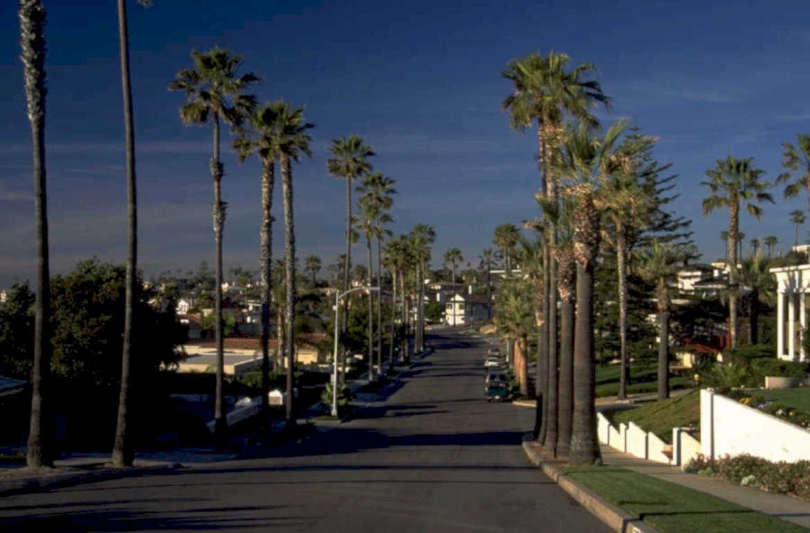 palm street scene 1980s 1990s A4 Photo Print