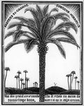 palm tree 1 mc escher 1931 A4 Photo Print