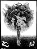 palm tree mc escher 1923 A4 Photo Print