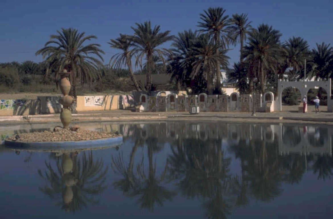 palm tree oasis 1980s 1990s A4 Photo Print
