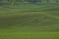 palouse fields farmland 1980s 1990s A4 Photo Print