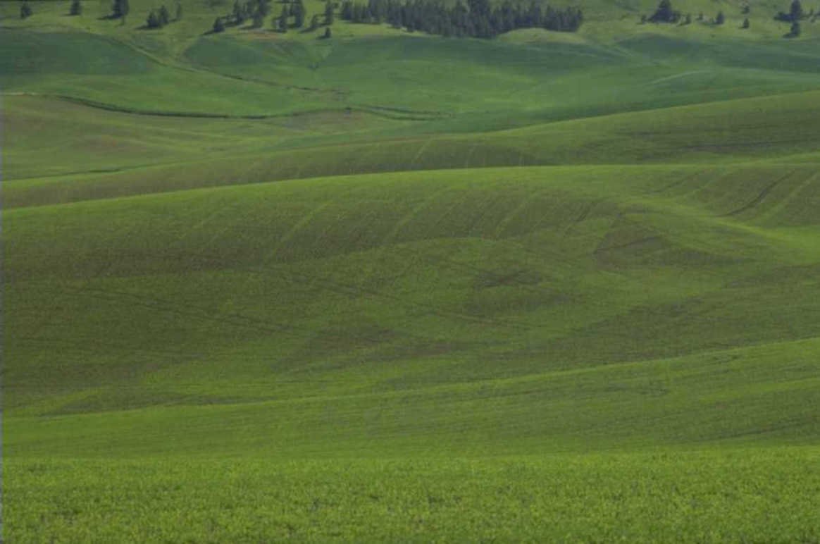 palouse fields farmland 1980s 1990s A4 Photo Print