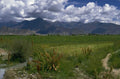 pamir grassland mountains 1980s 1990s A4 Photo Print