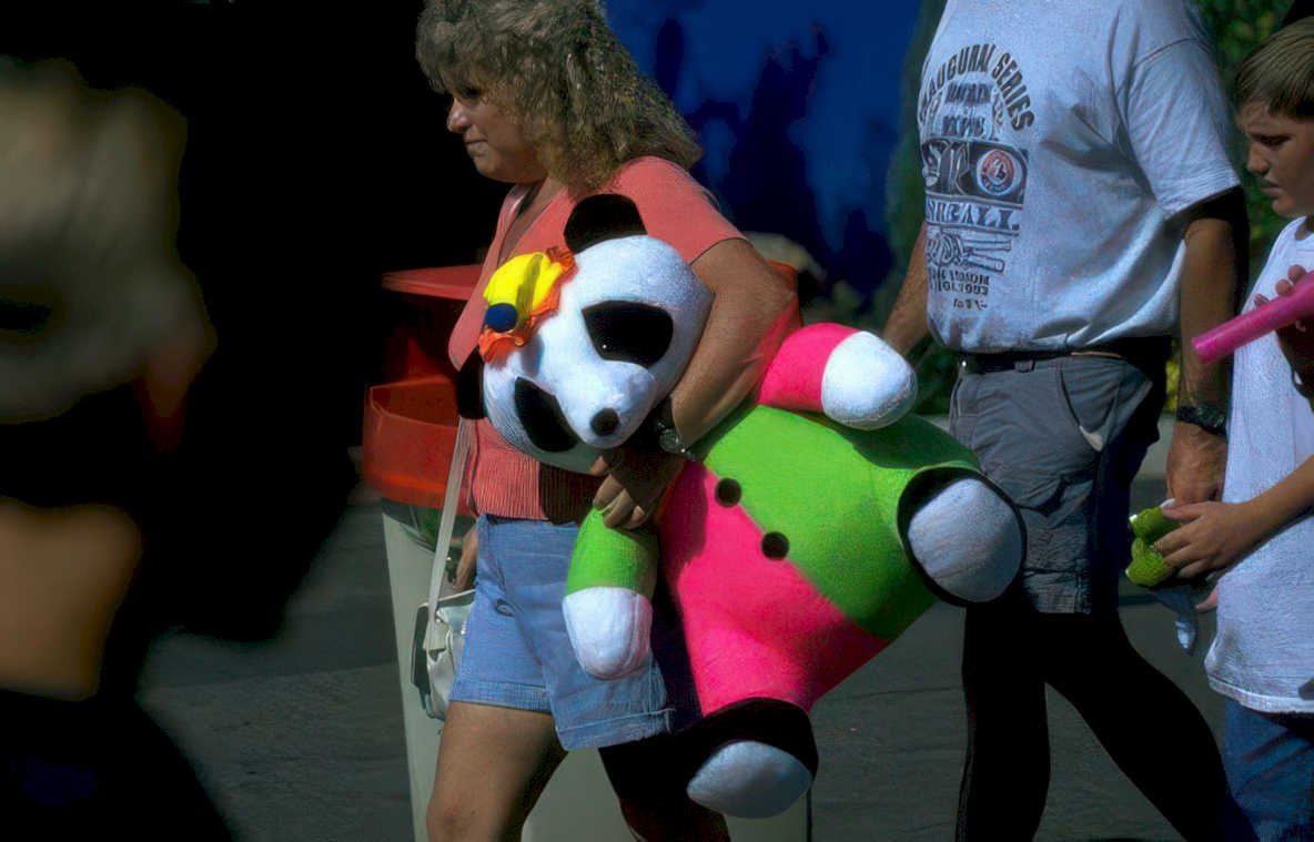 panda parade series Vintage A4 Photo Print