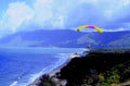 paraglider coast flight1980s 1990s A4 Photo Print