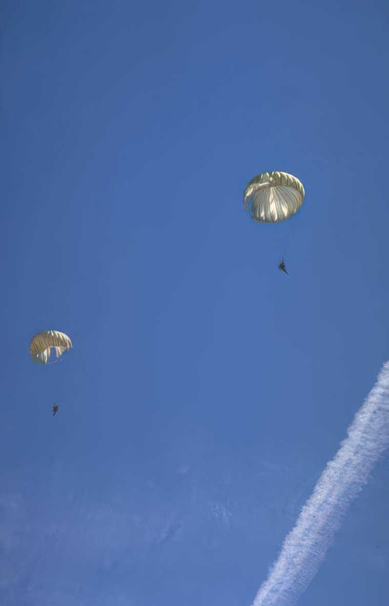 paratroopers skydiving blue Vintage A4 Photo Print