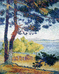 pardigon Art A4 Photo Print
