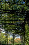 paris luxembourg pergola 1980s 1990s A4 Photo Print