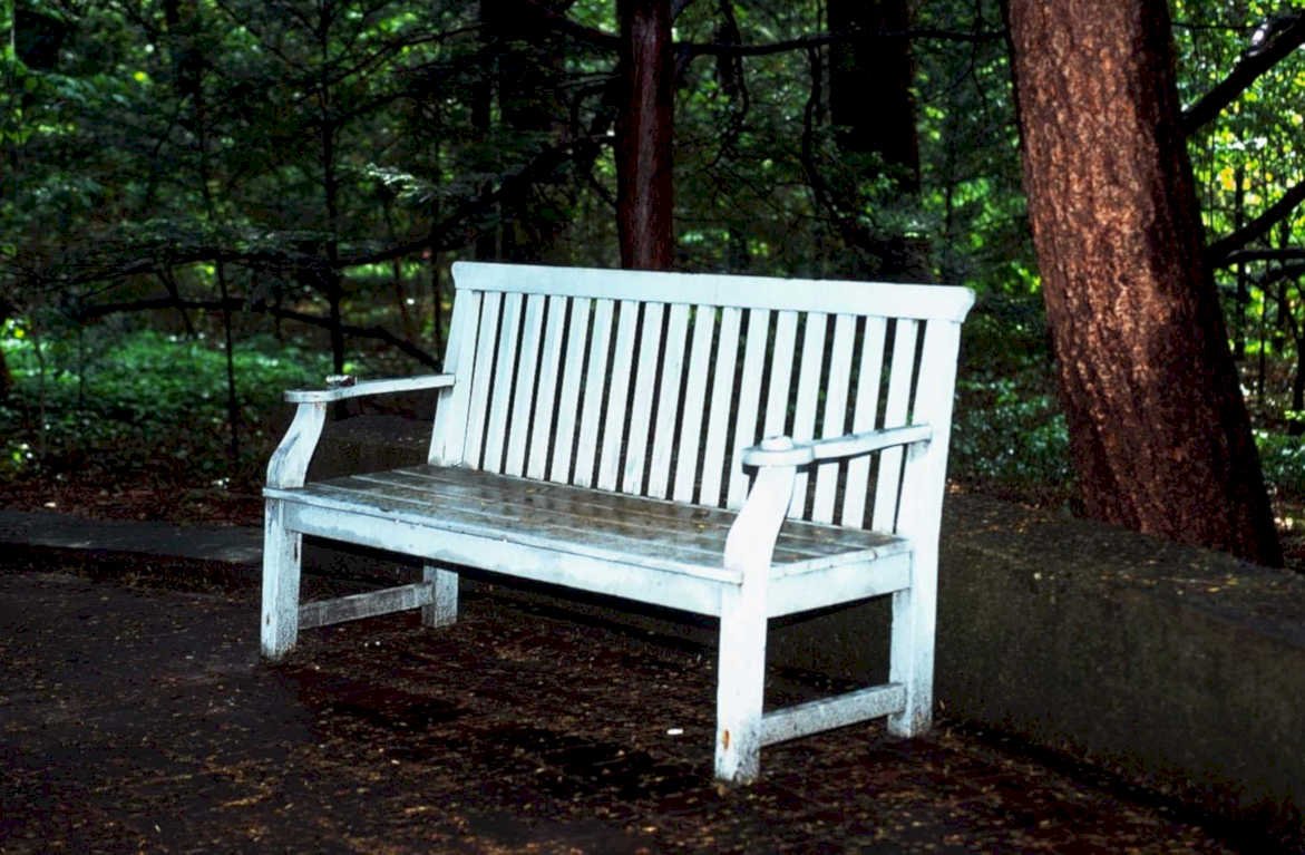 park bench evening1980s 1990s A4 Photo Print