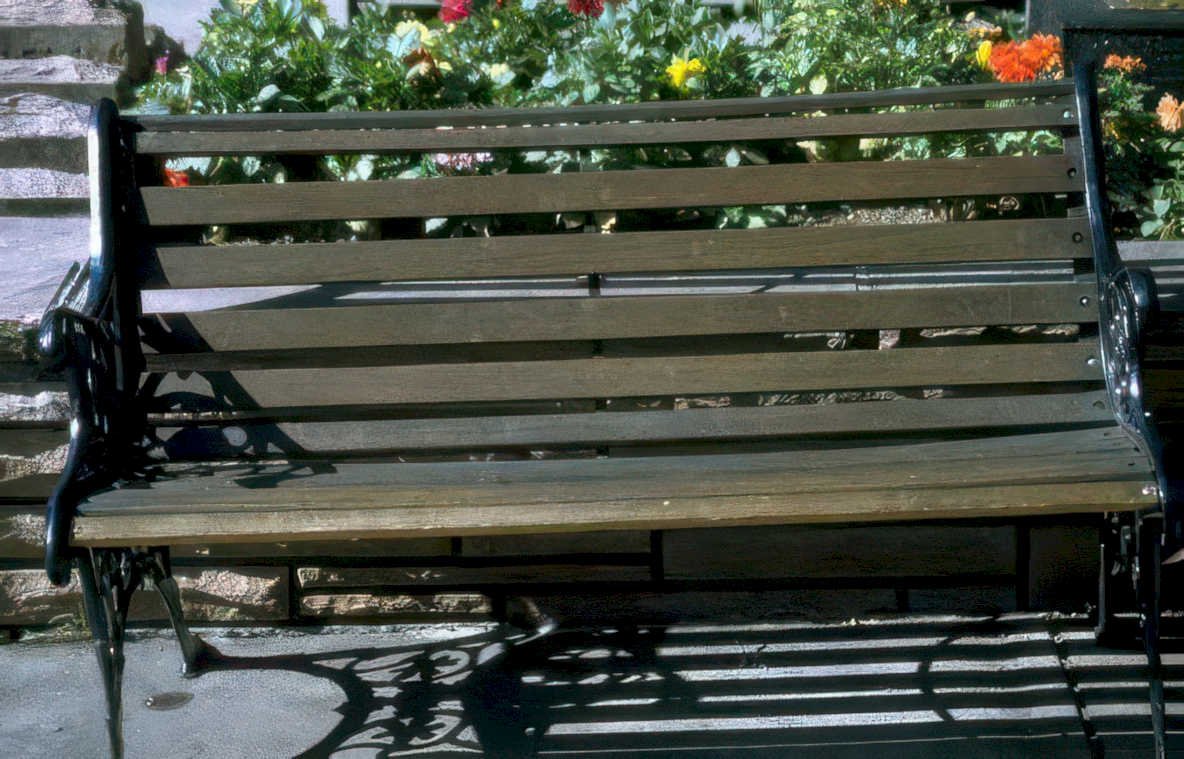 park bench flowers Vintage A4 Photo Print