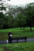 park bench pigeon1980s 1990s A4 Photo Print