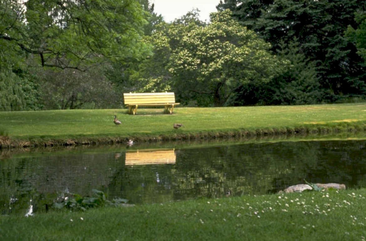 park bench pond 1980s 1990s A4 Photo Print