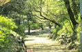 park pathway garden Vintage A4 Photo Print