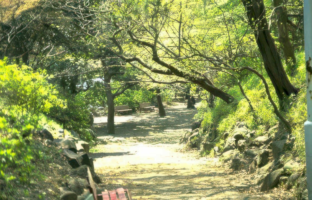park pathway garden Vintage A4 Photo Print