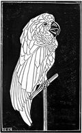 parrot mc escher 1919 A4 Photo Print