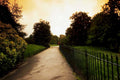 path garden sunset1980s 1990s A4 Photo Print