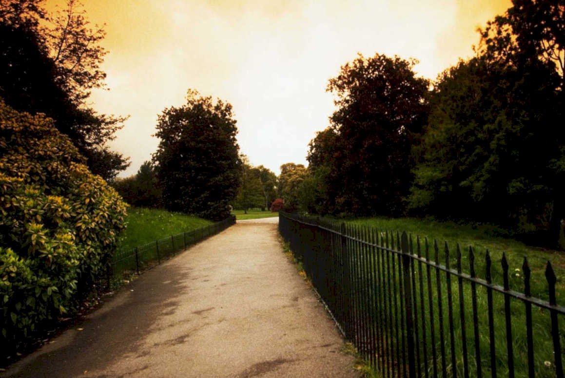 path garden sunset1980s 1990s A4 Photo Print