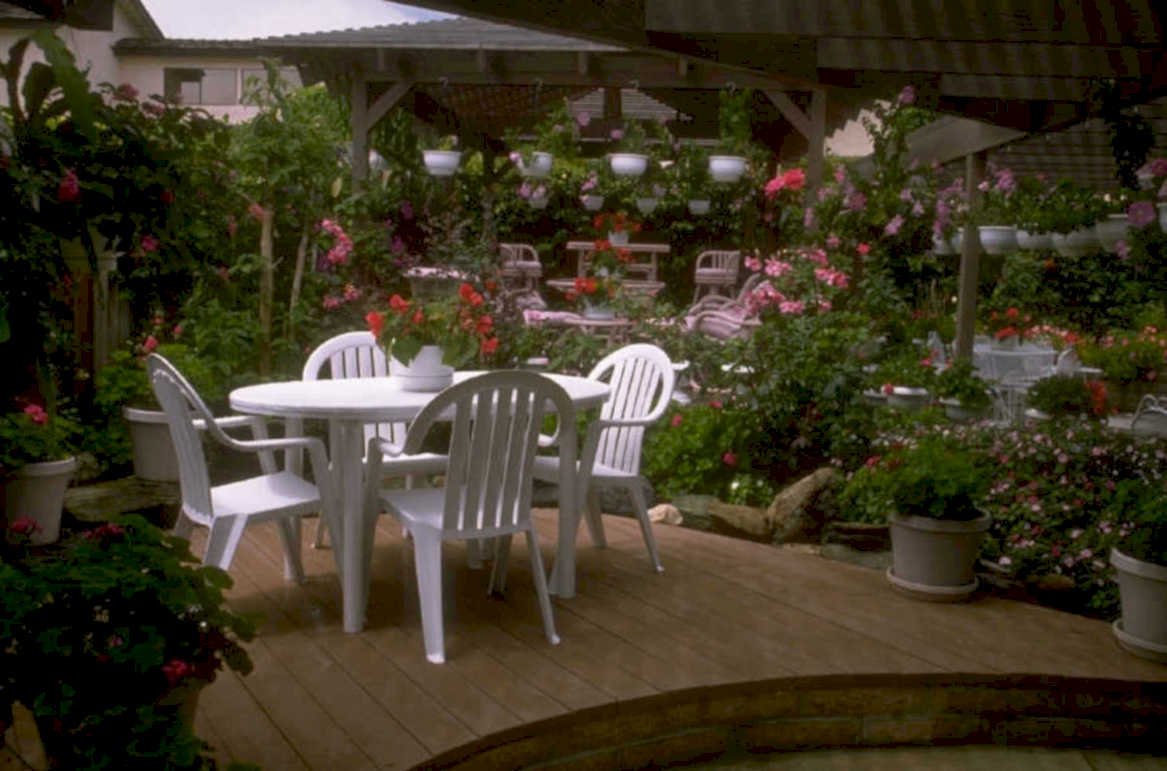 patio floral roses 1980s 1990s A4 Photo Print