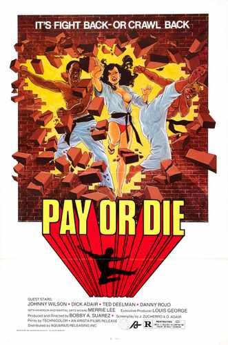 pay or die  01 film star poster A4 Photo Print