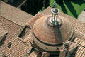 pazzi2 Art A4 Photo Print