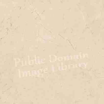 pdil marble A4 Photo Print