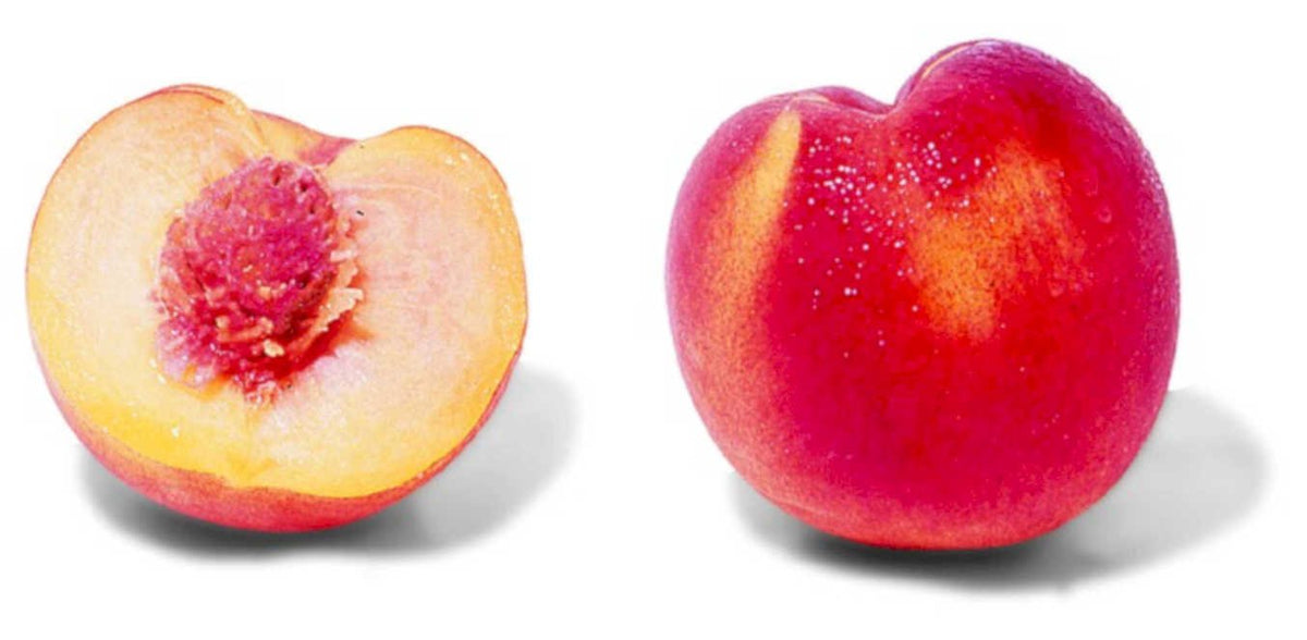 peaches whole halved1980s 1990s A4 Photo Print