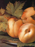 peaches1 Art A4 Photo Print