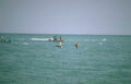 pelicans boats gulf Vintage A4 Photo Print