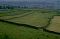 pennine hills tractor 1 1980s 1990s A4 Photo Print